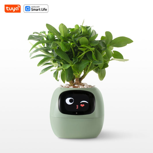 Light GreenTuya Ivy Smart Planter