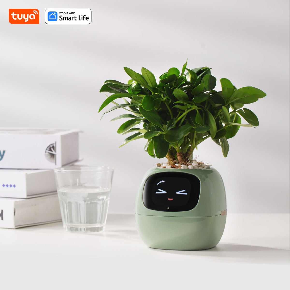 Light GreenTuya Ivy Smart Planter